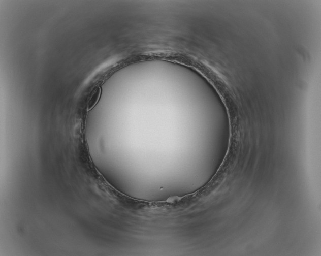 X0000114511351200911091121