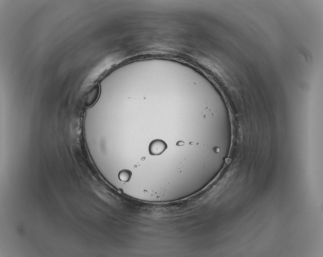 X0000114511355200911091121