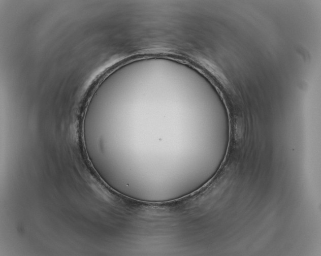 X0000114511356200911091121