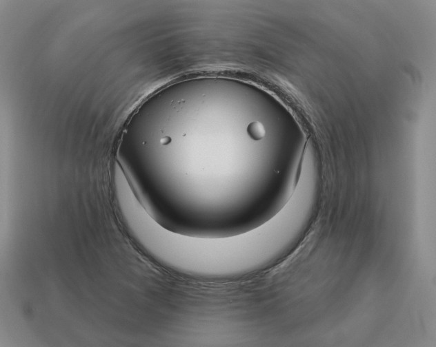 X0000114511361200911091121