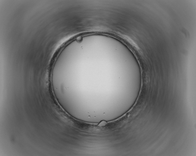 X0000114511364200911091121