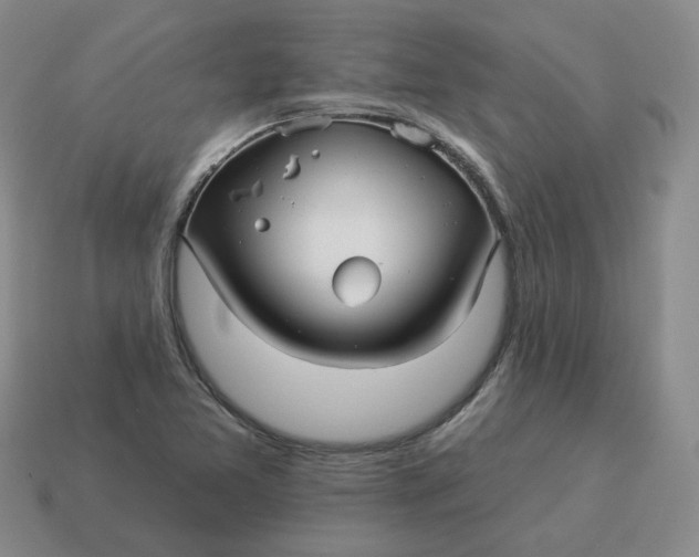 X0000114511365200911091121