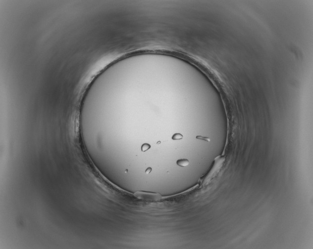 X0000114511367200911091121