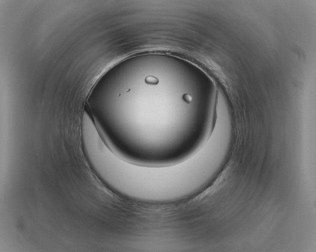 X0000114511369200911091121