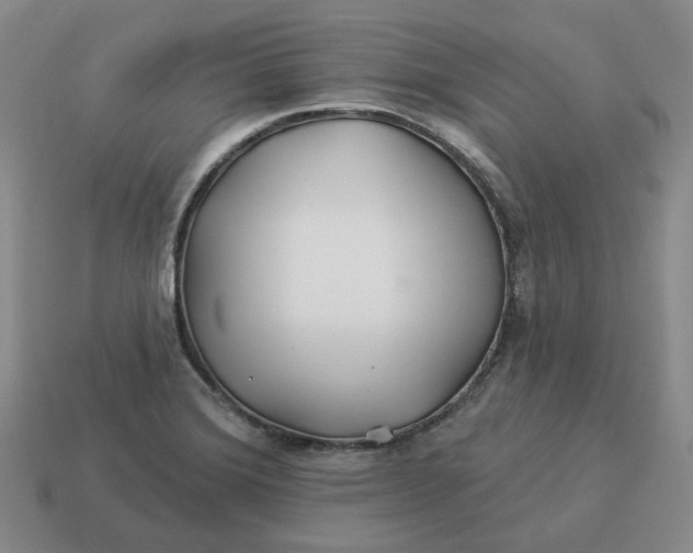 X0000114511372200911091121