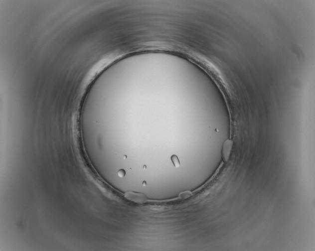 X0000114511373200911091121