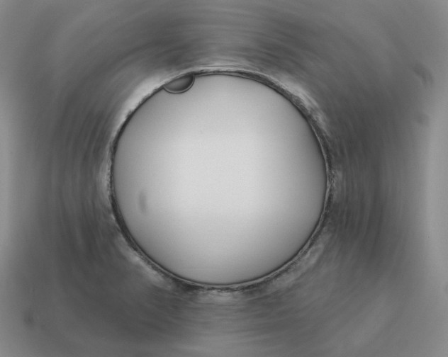 X0000114511374200911091121