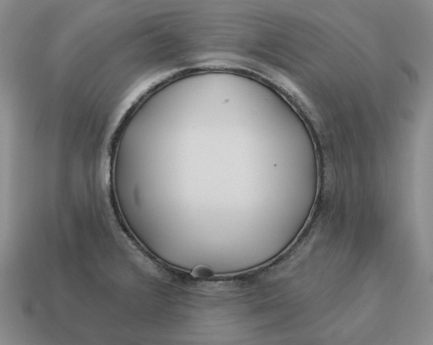 X0000114511376200911091121