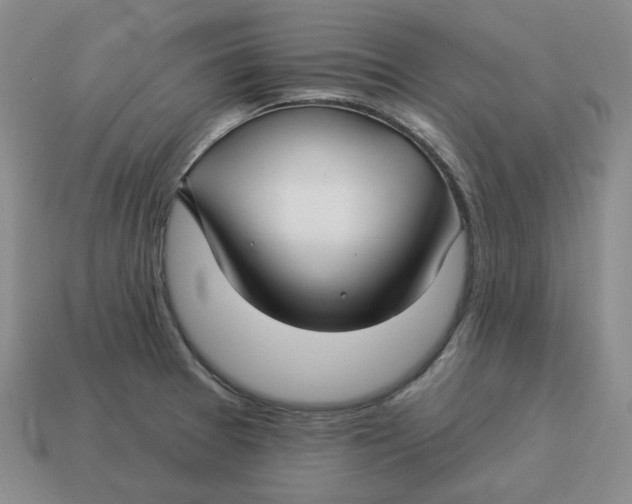 X0000114511377200911091121