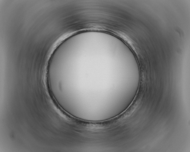 X0000114511379200911091121