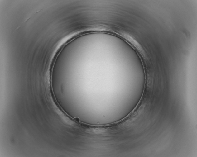 X0000114511380200911091121