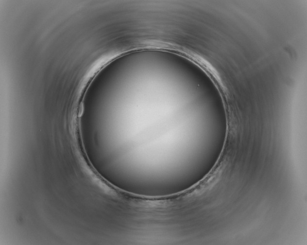 X0000114511381200911091121