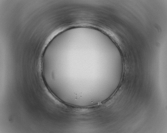 X0000114511382200911091121