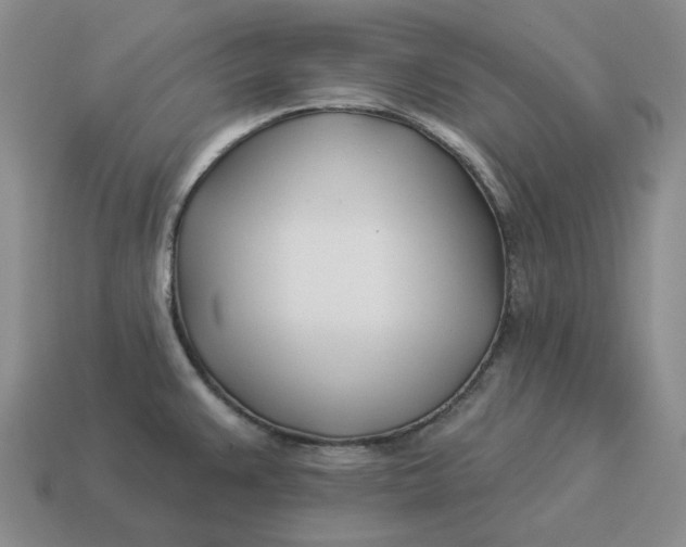 X0000114511383200911091121