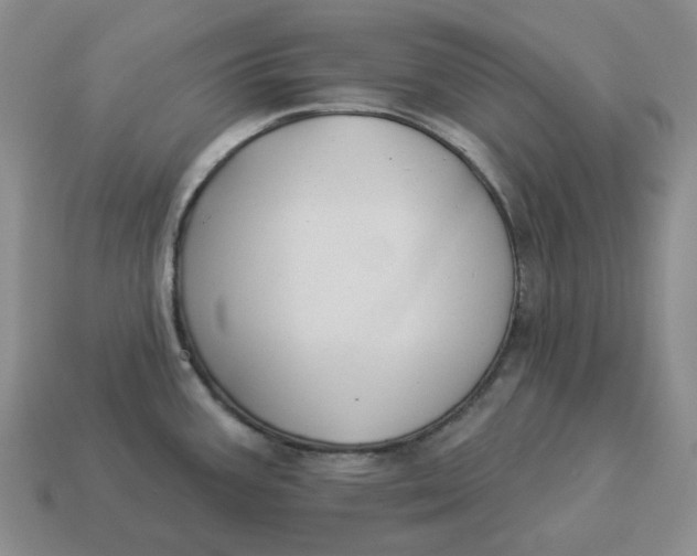 X0000114511387200911091121