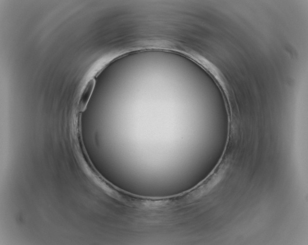 X0000114511389200911091121