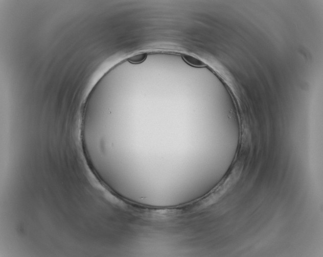 X0000114511390200911091121