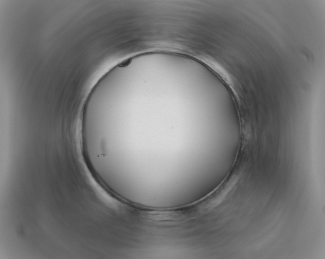 X0000114511391200911091121