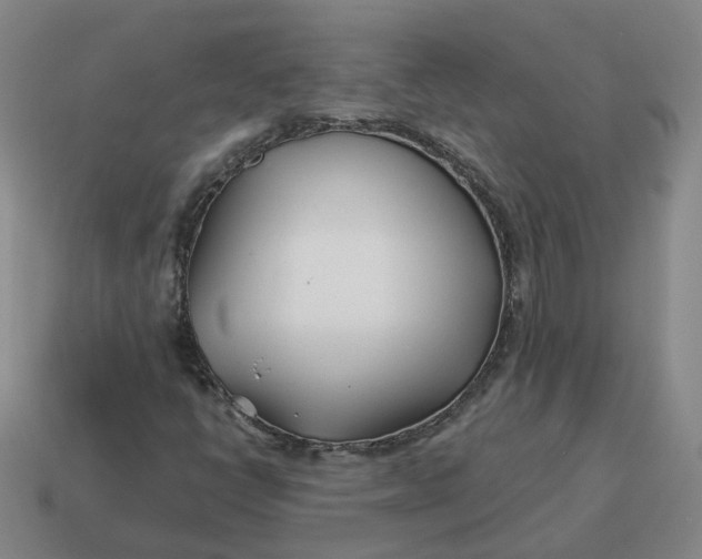 X0000114511398200911091120