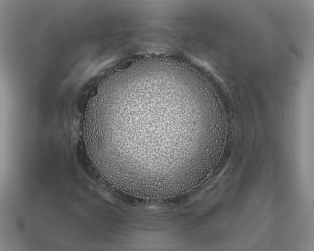 X0000114511399200911091120