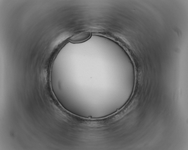 X0000114511402200911091120