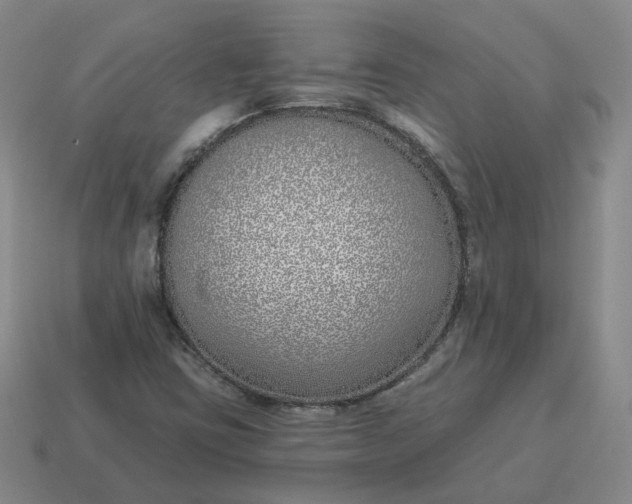 X0000114511403200911091120