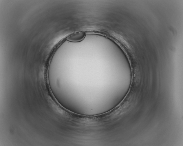 X0000114511404200911091120