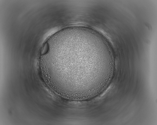 X0000114511405200911091120