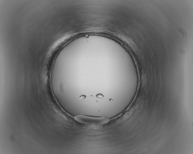 X0000114511406200911091120