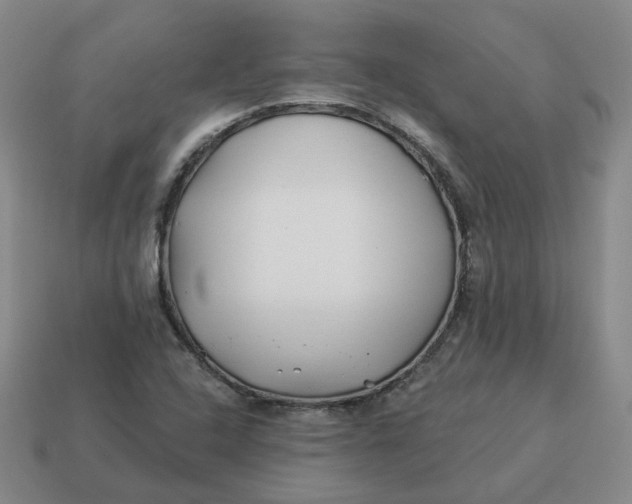 X0000114511408200911091120