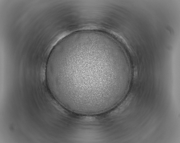 X0000114511409200911091120