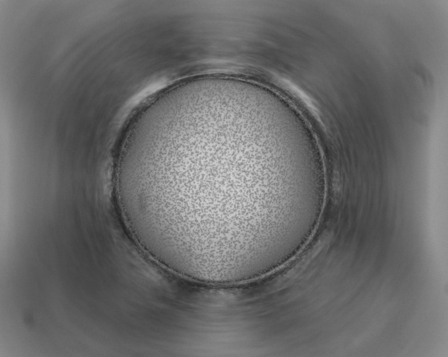 X0000114511411200911091120