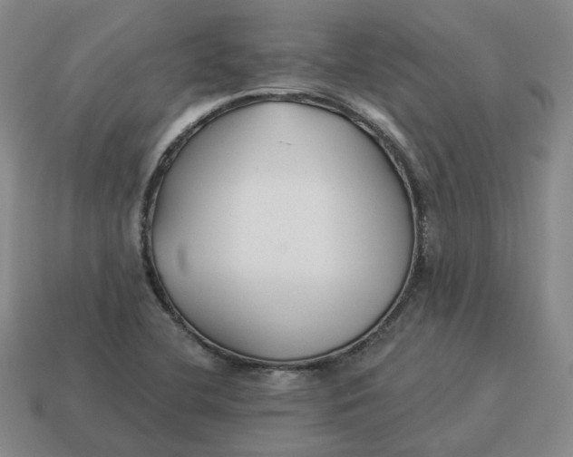 X0000114511412200911091120