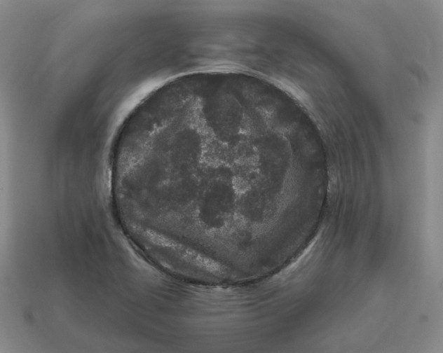 X0000114511414200911091120