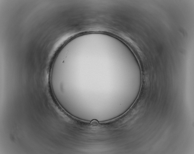 X0000114511416200911091120