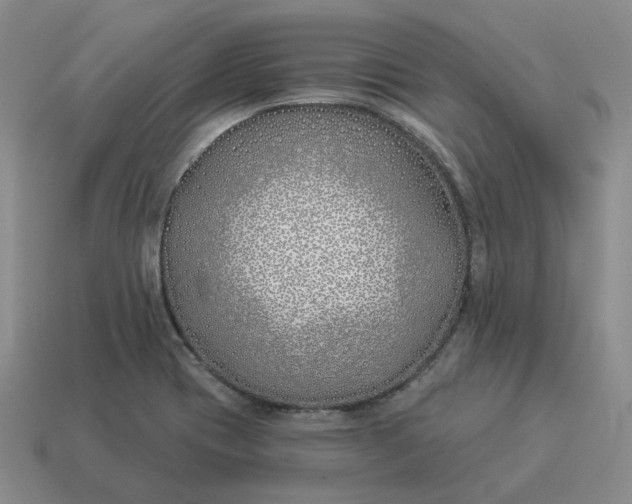 X0000114511417200911091120