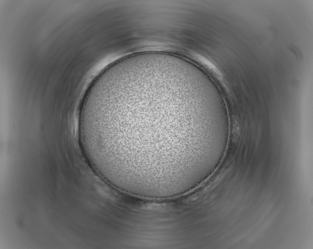 X0000114511419200911091120