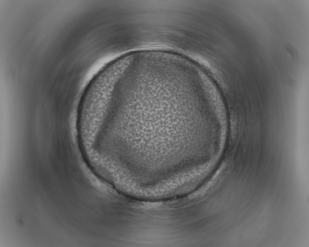 X0000114511422200911091120