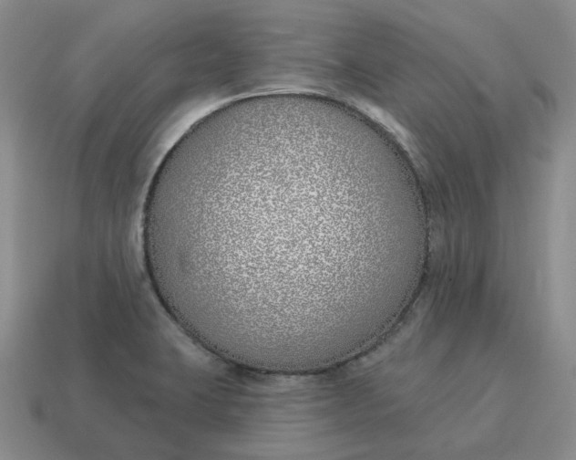 X0000114511423200911091120