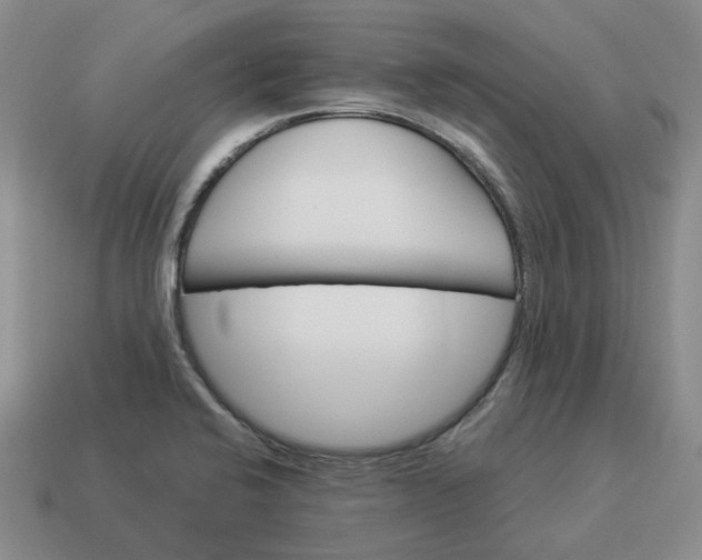 X0000114511424200911091120