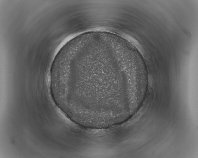 X0000114511428200911091120