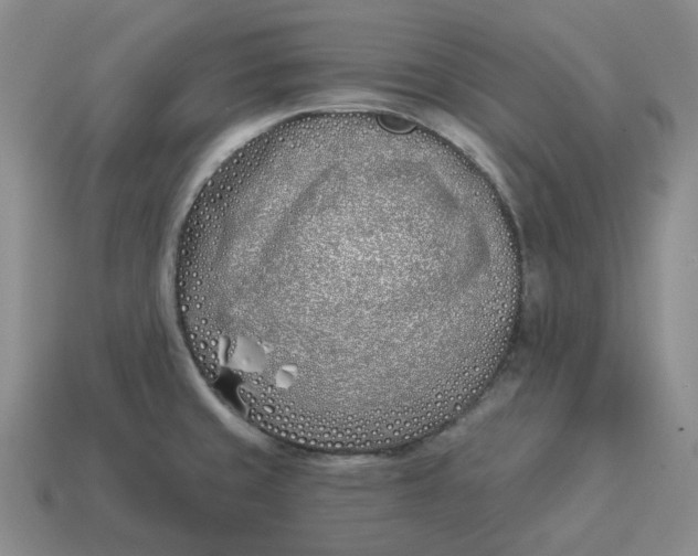 X0000114511429200911091120