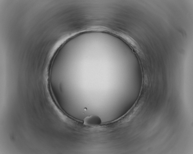 X0000114511430200911091121