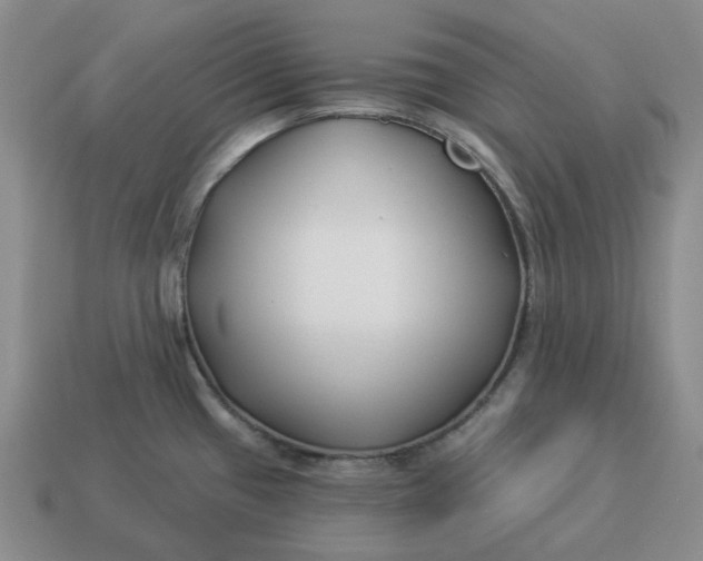 X0000114511433200911091121