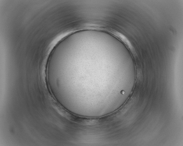 X0000114511435200911091121