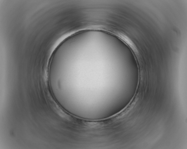 X0000114511436200911091121