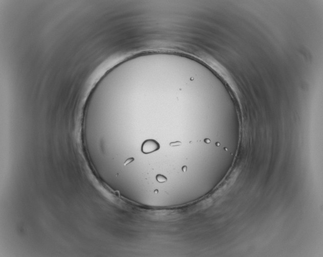 X0000114511437200911091121