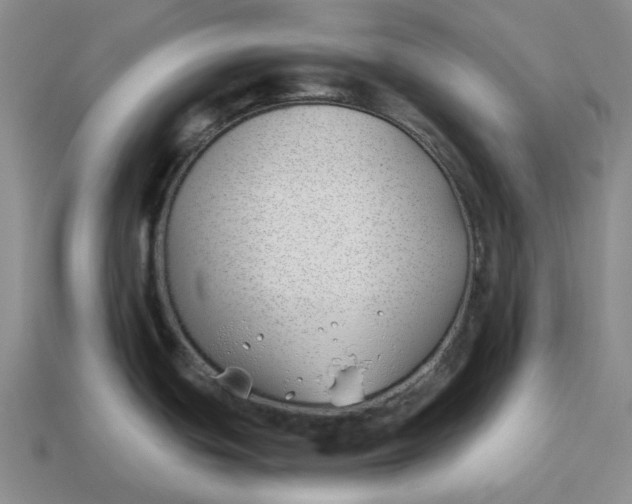 X0000114511439200911091121