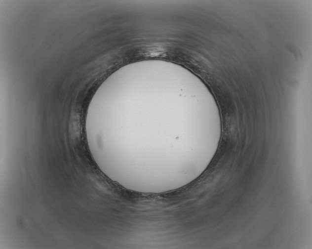 X0000114511442200911091120