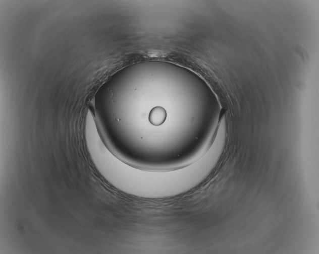 X0000114511443200911091120